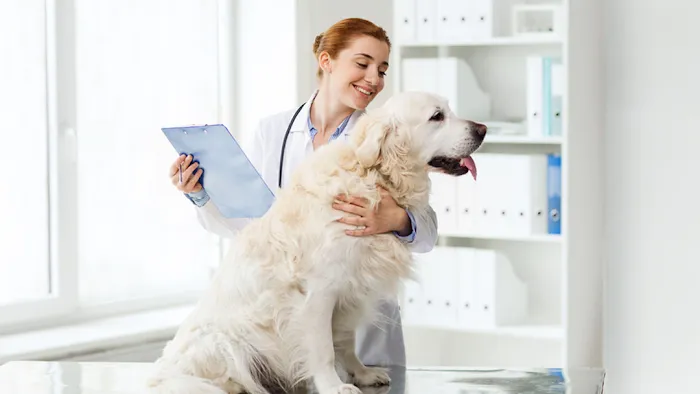 Dakota Pet Hospital 6