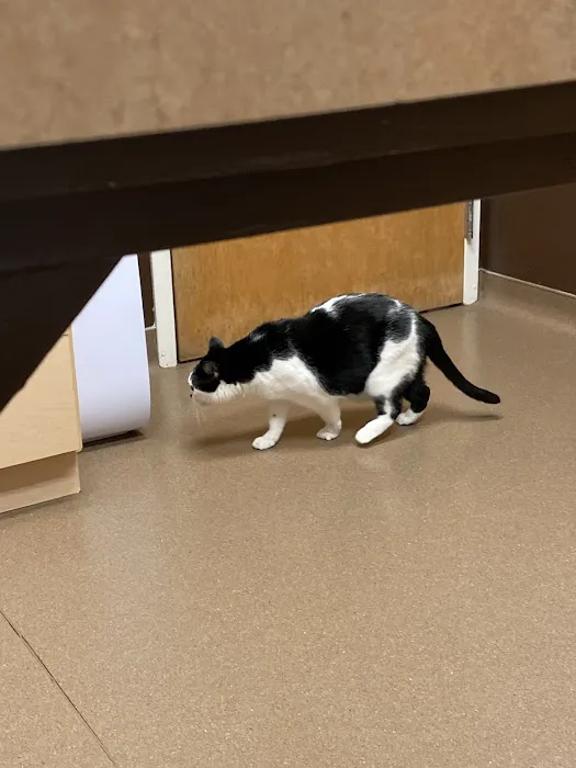 Dakota Pet Hospital 2