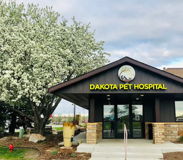 Dakota Pet Hospital 5