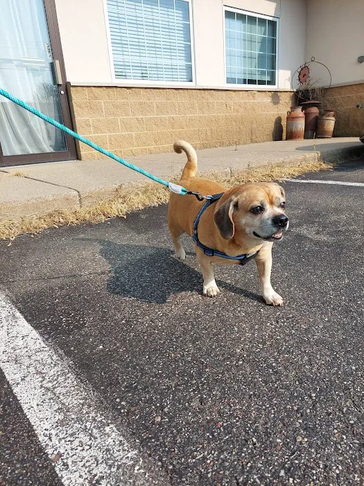 Farmington Veterinary Clinic 4