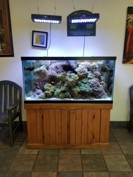 Farmington Veterinary Clinic 10