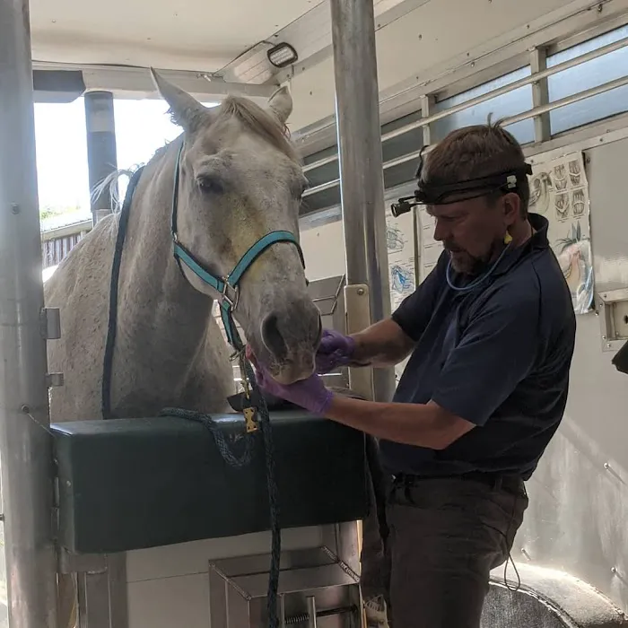 Advanced Equine Dentistry 4