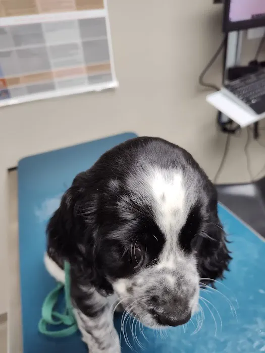 Westarbor Animal Hospital 1