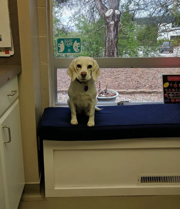 Westarbor Animal Hospital 7