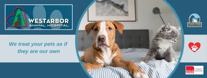 Westarbor Animal Hospital 10