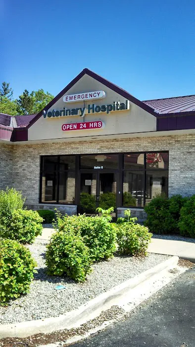 Emergency Veterinary Hospital 8