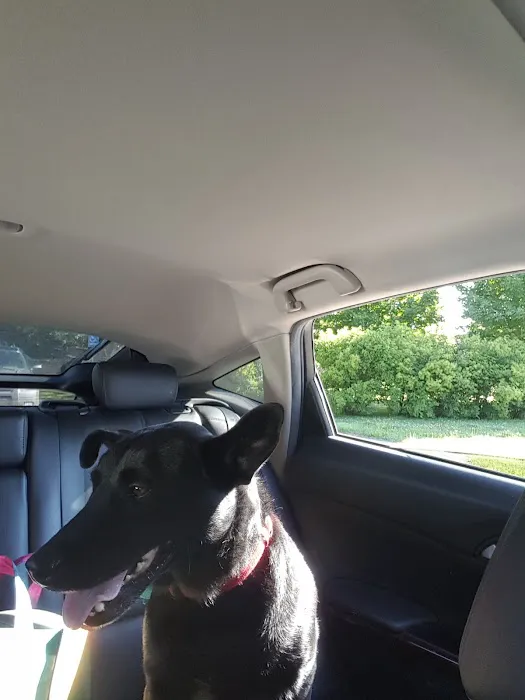 Pittsfield Pet Care 3