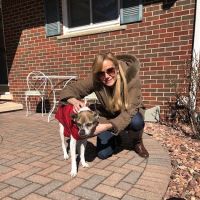 Noah's Ark Pet Hospital ico