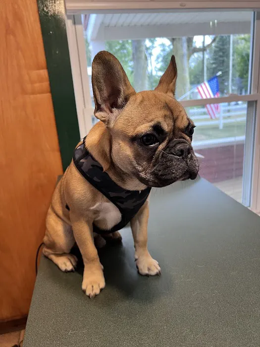 Noah's Ark Pet Hospital 5