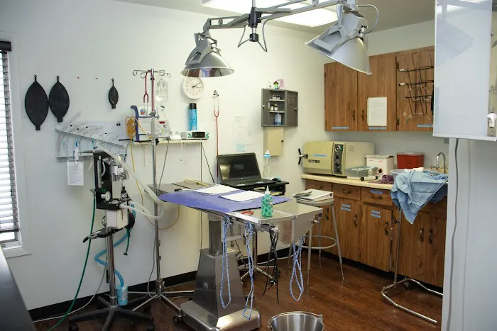 Whittaker Road Animal Clinic 2