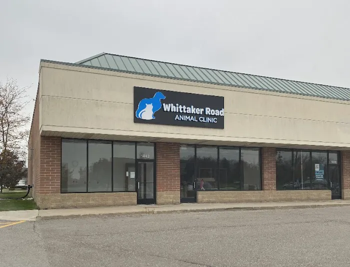 Whittaker Road Animal Clinic 7