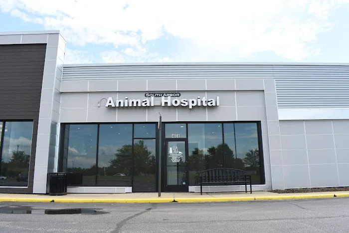 South Arbor Animal Hospital 9