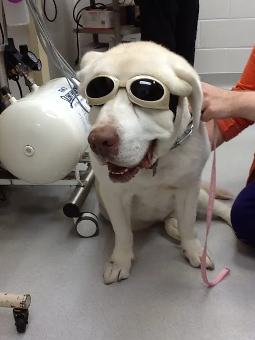 Graber's Animal Hospital 8
