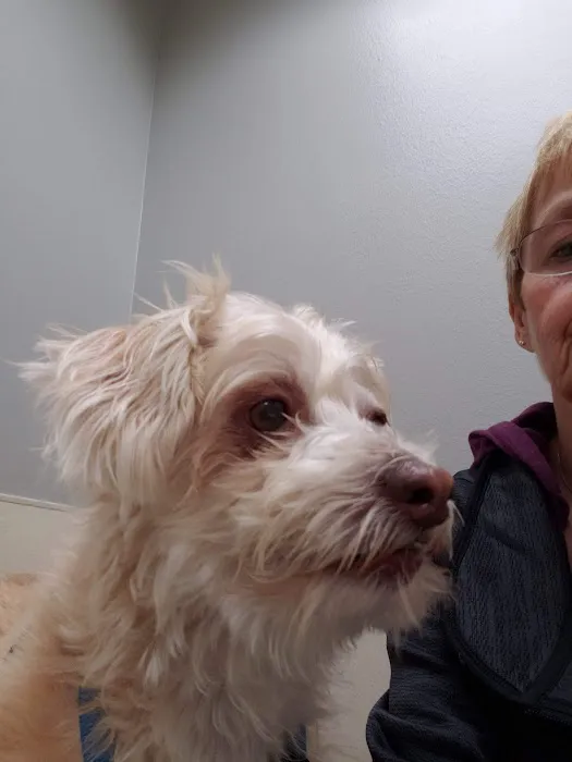 Graber's Animal Hospital 4