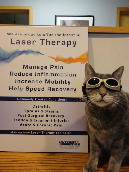 Graber's Animal Hospital 7