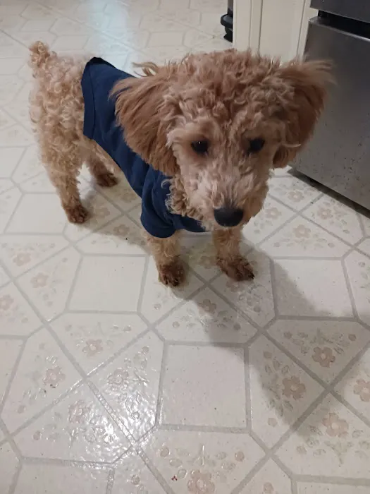 Graber's Animal Hospital 3