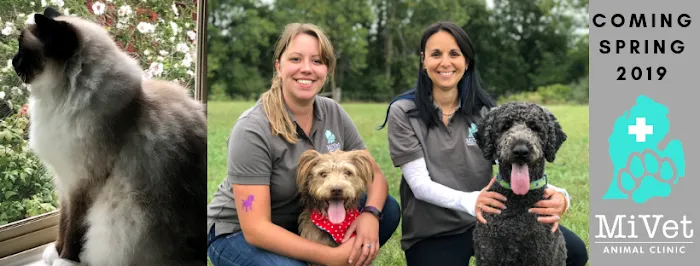 MiVet Animal Clinic 10