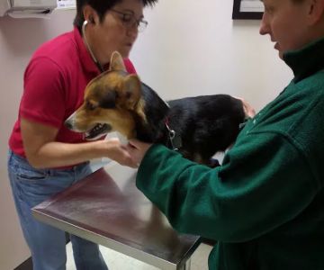 Parkway Animal Clinic