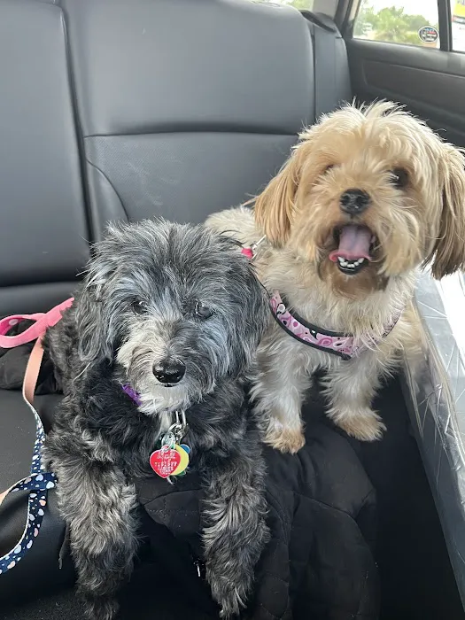 Compassionate Care Animal Hospital 8