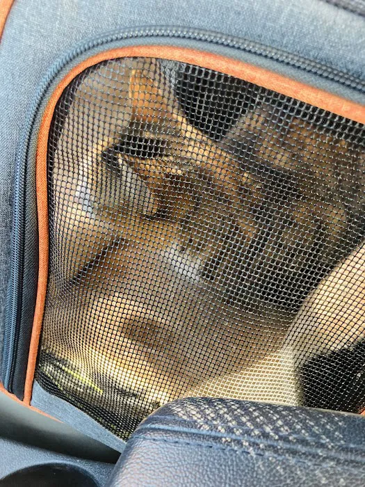 Compassionate Care Animal Hospital 2