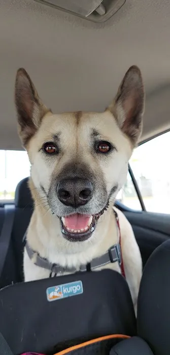 Compassionate Care Animal Hospital 1