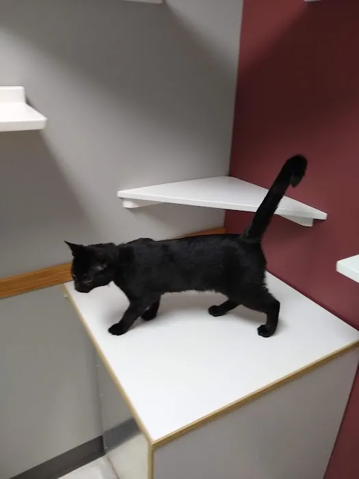 Compassionate Care Animal Hospital 9