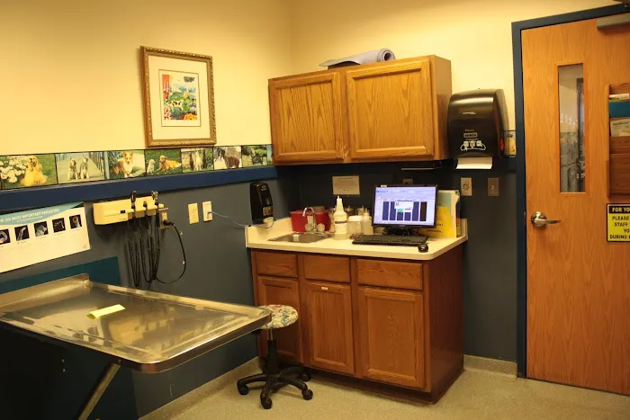 Ann Arbor Animal Hospital 8