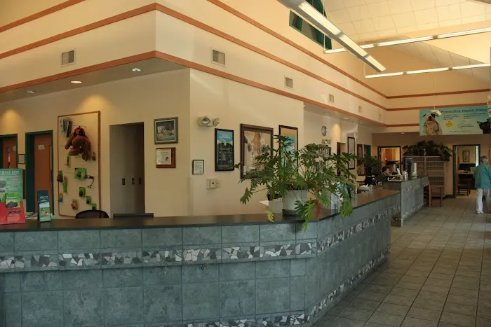 Ann Arbor Animal Hospital 9
