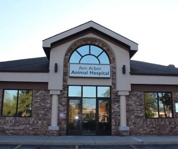 Ann Arbor Animal Hospital