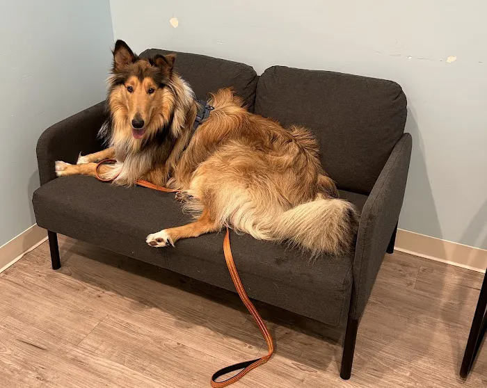Animal Urgent Center 8