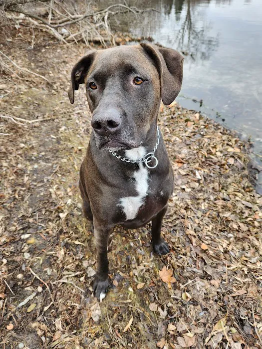 Animal Urgent Center 7