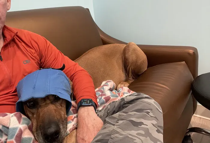 Animal Urgent Center 3