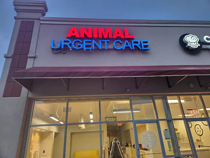 Animal Urgent Center 10