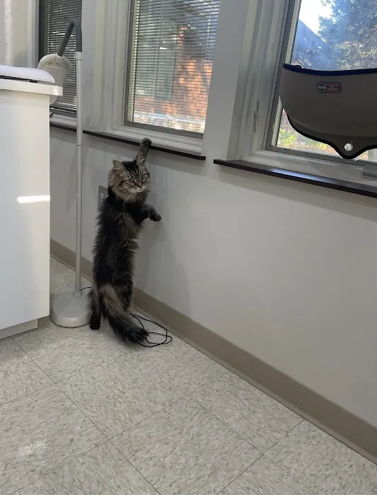 Washtenaw Veterinary Hospital 9