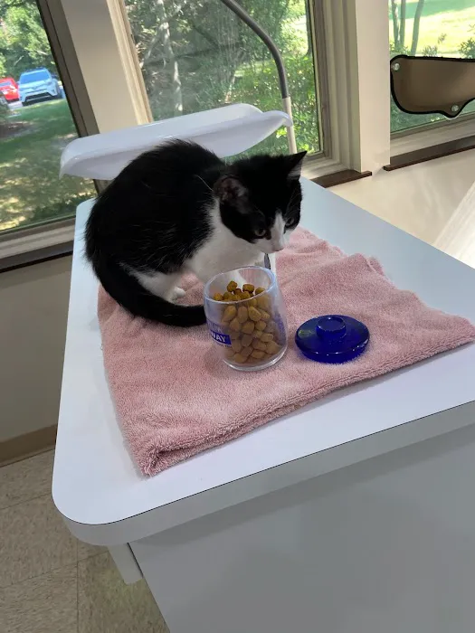 Washtenaw Veterinary Hospital 4