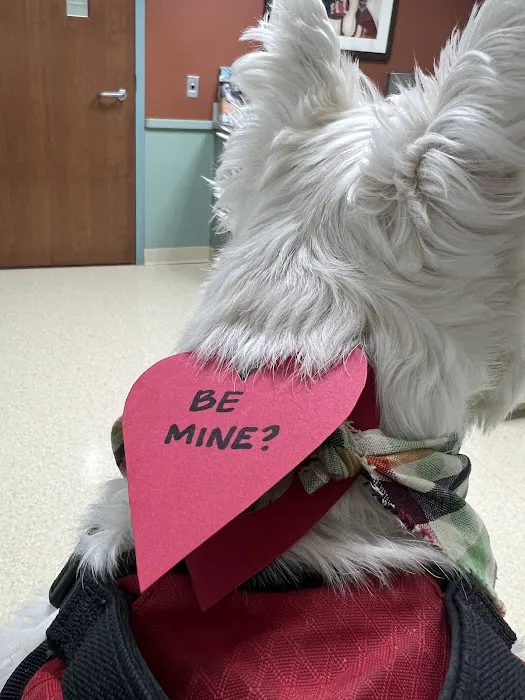 Washtenaw Veterinary Hospital 7
