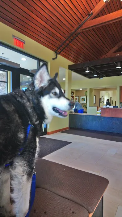 Washtenaw Veterinary Hospital 2