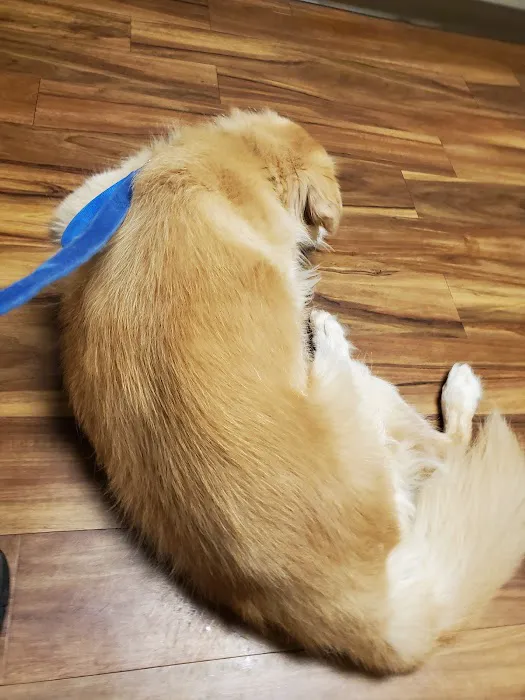 West Toledo Animal Hospital 2