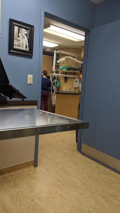 Shoreland Animal Hospital 10