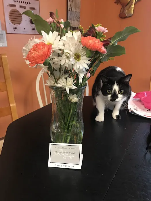 Shoreland Animal Hospital 4