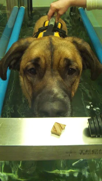 Animal Rehabilitation Facility 3