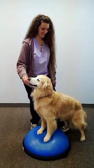 Animal Rehabilitation Facility 9