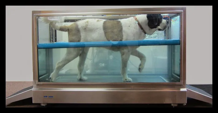 Animal Rehabilitation Facility 8