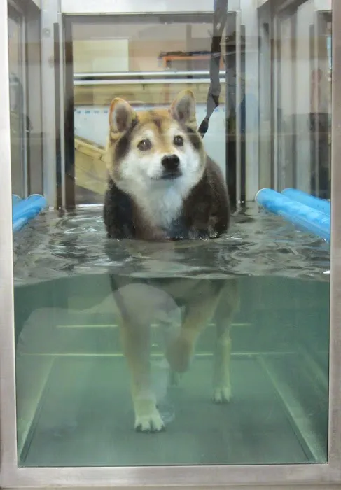 Animal Rehabilitation Facility 2
