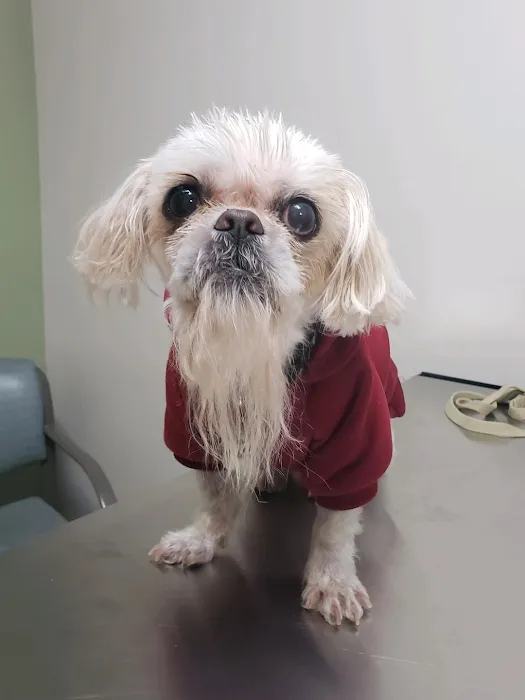 Dexter Animal Clinic 9