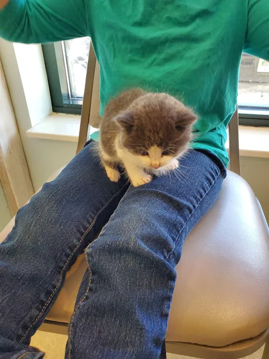 Mill Pond Animal Hospital 7