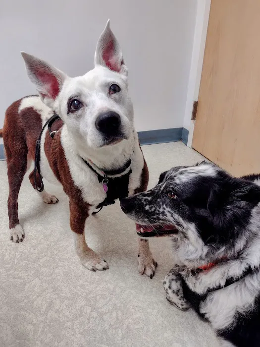 Mill Pond Animal Hospital 2