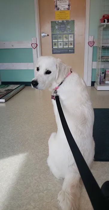 Mill Pond Animal Hospital 8