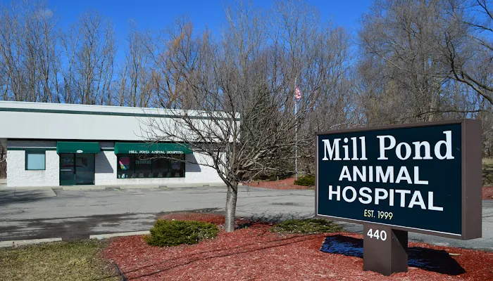 Mill Pond Animal Hospital 3