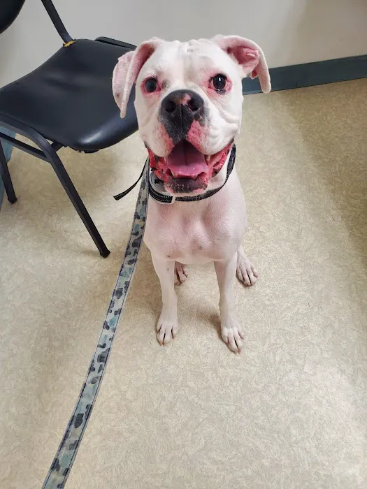 Mill Pond Animal Hospital 6